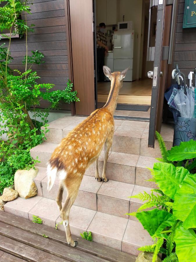 Mini Inn Nara- - 外国人向け - 日本人予約不可 Exterior foto